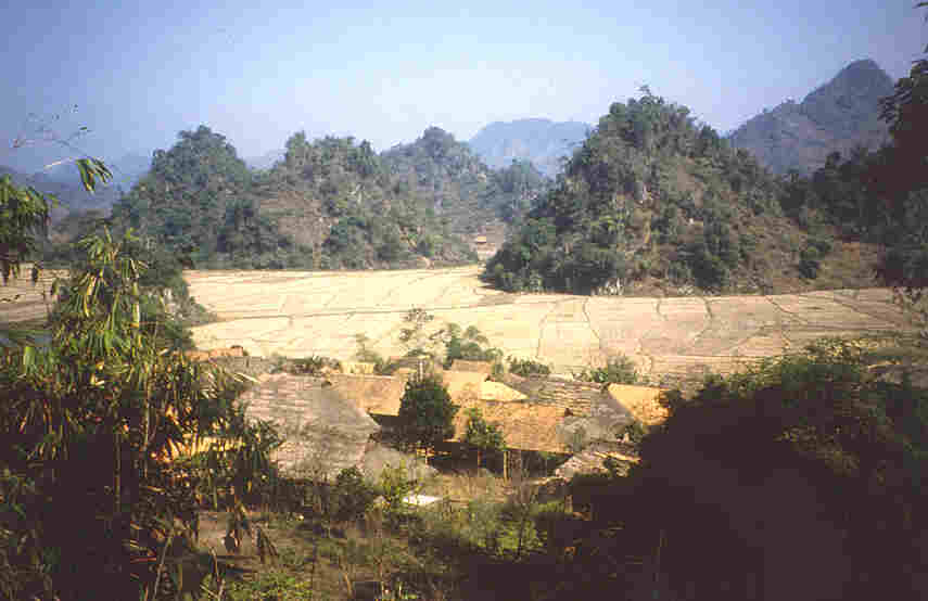 Karst landscape in the north of Vietnam