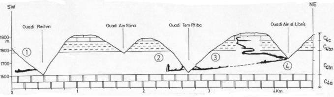 Jabal Libne section